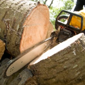 tree-cutting-service-near-me